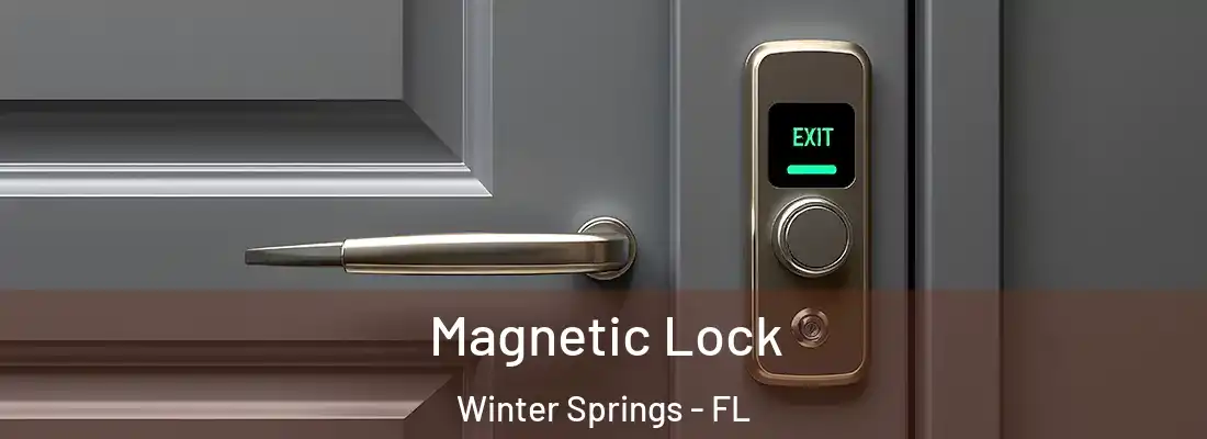  Magnetic Lock Winter Springs - FL